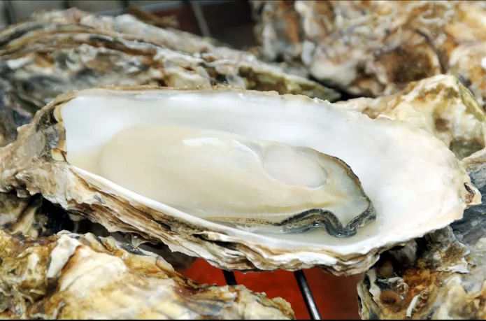 げんぞう 牡蠣