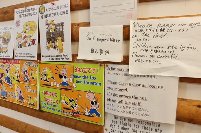 蔵王キツネ村