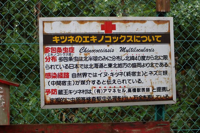 蔵王キツネ　エキノコックス看板