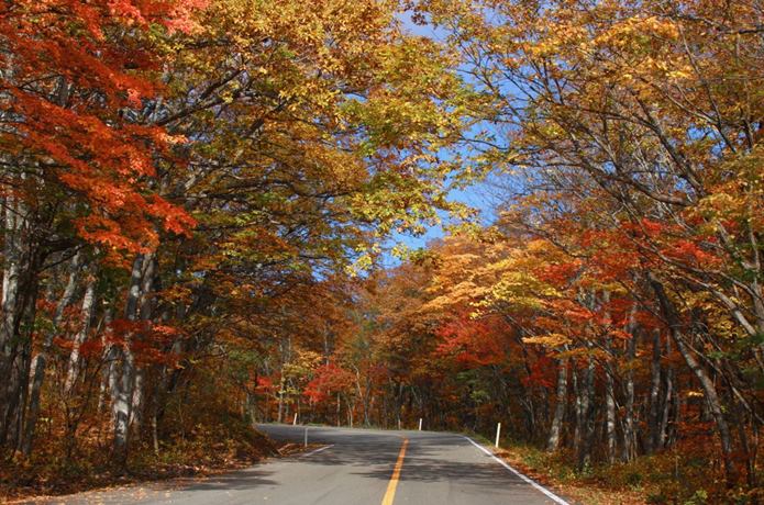 紅葉の蔵王エコーライン-