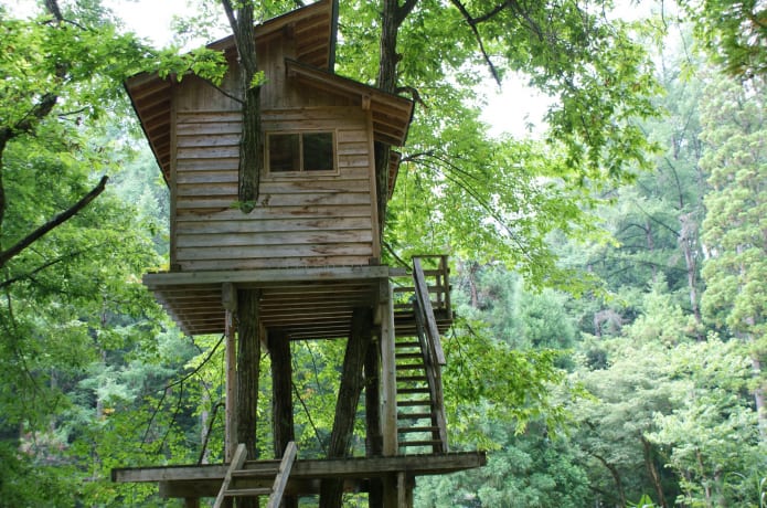 みちのく公園の木の学校