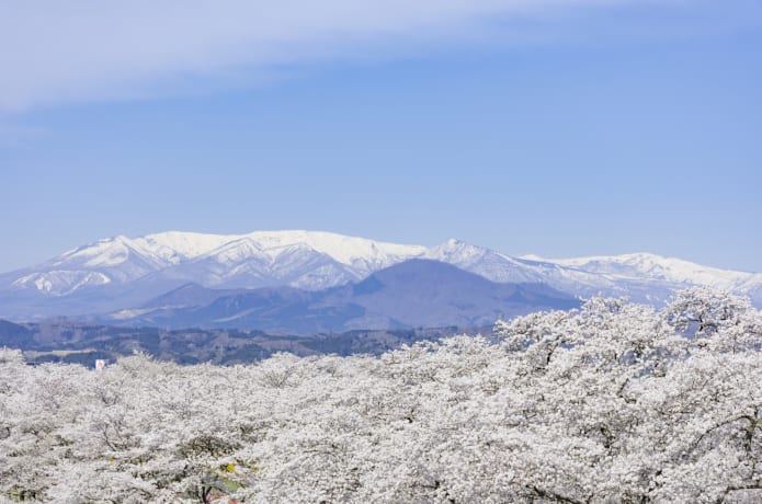 蔵王連峰