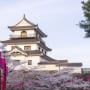 白石市の桜