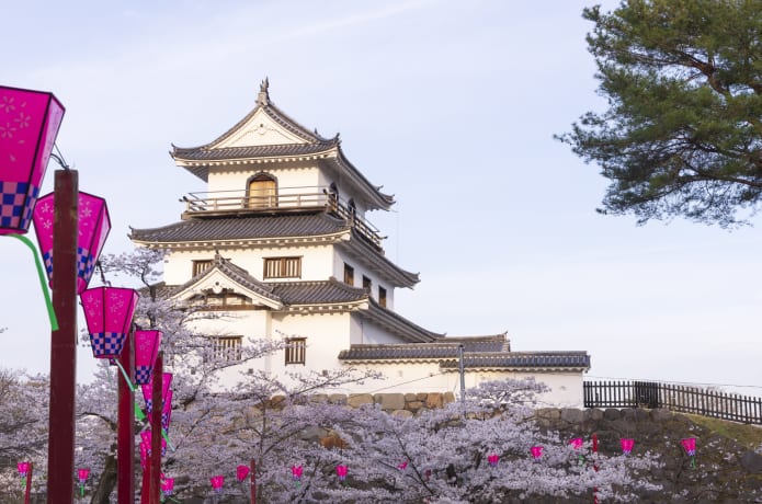 白石市の桜