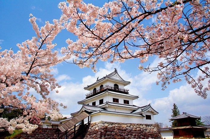 白石桜まつり