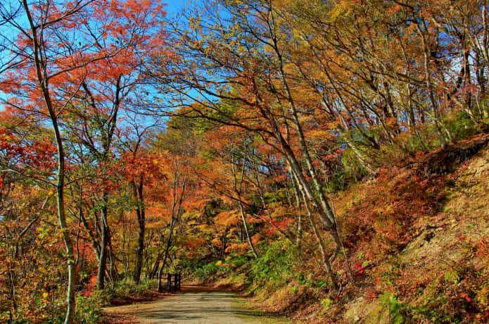 鳴子峡大深沢遊歩道