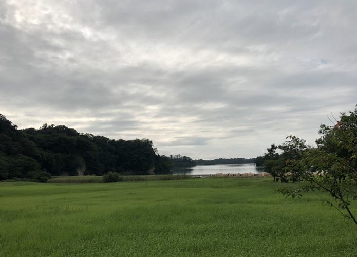 里浜貝塚　史跡公園