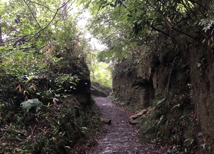 大高森　登山道