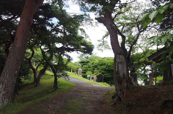 新富山　山道