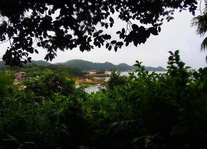 稲ヶ﨑公園の階段からみる景色
