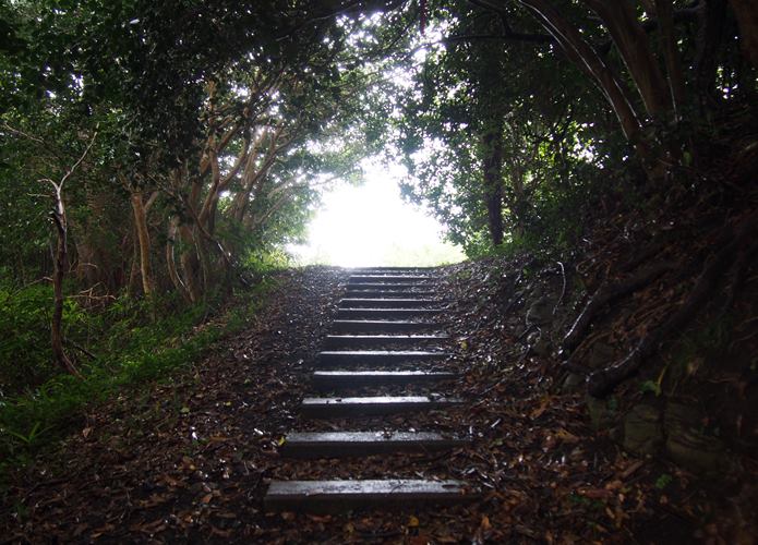 稲ヶ﨑公園　