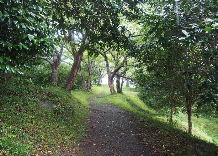 稲ヶ﨑公園と林道