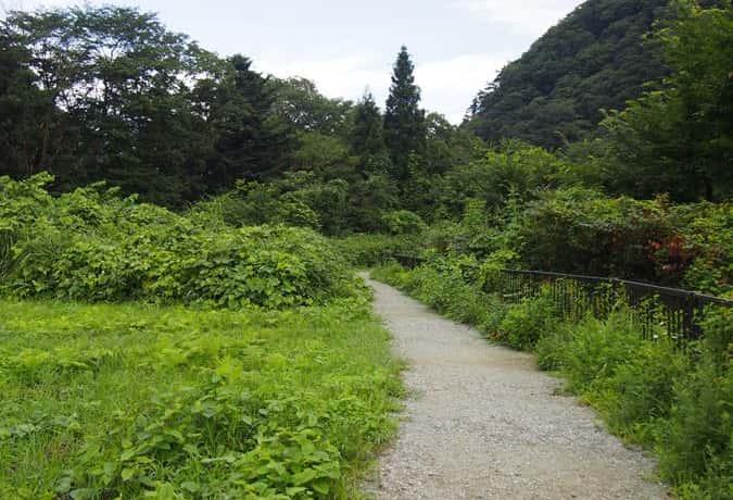 鳳鳴四十八の滝　遊歩道