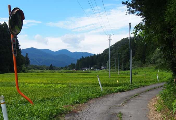 穴薬師へ続く畦道