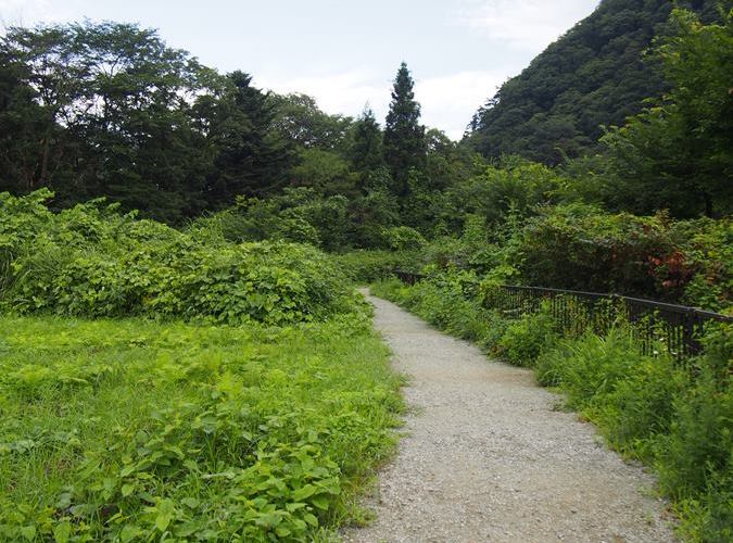 鳳鳴四十八滝　小道
