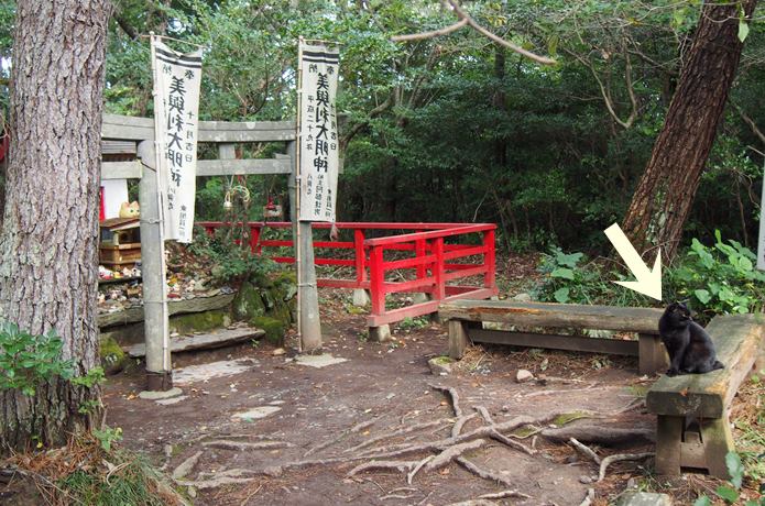 猫神社と猫
