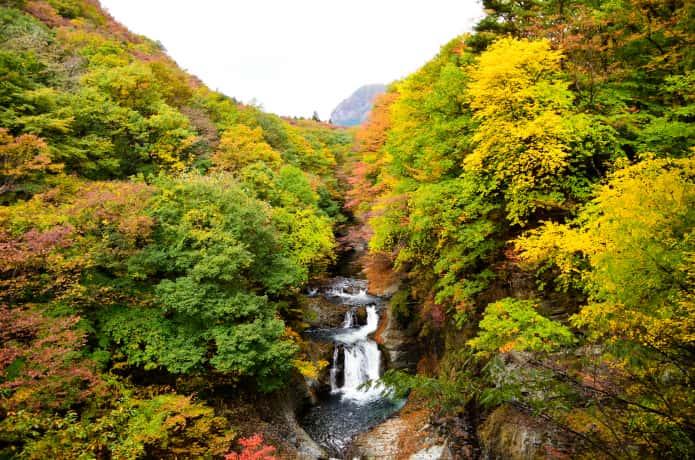 鳳鳴四十八滝　紅葉
