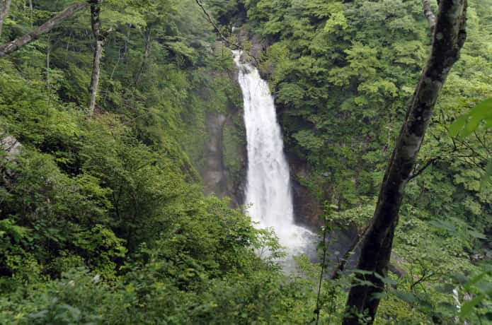 滝見台からみる秋保大滝
