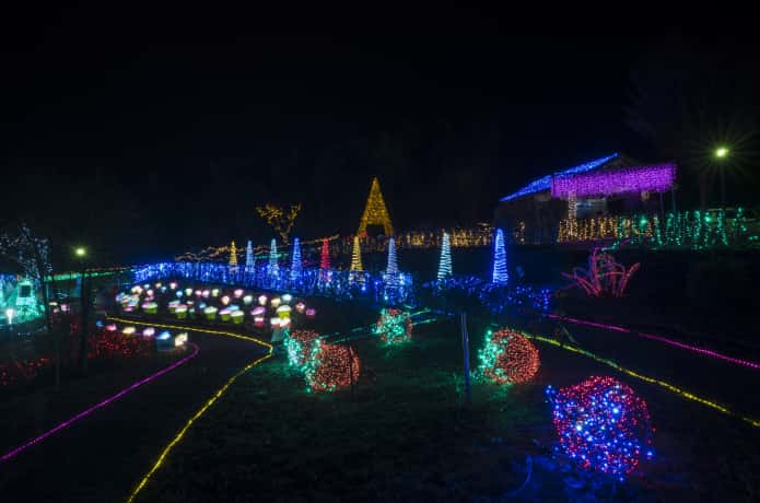 山本町 イルミネーション