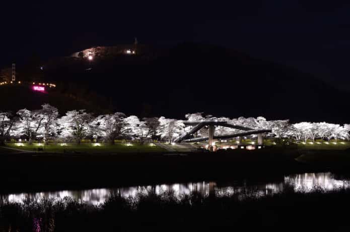 白石川一目惚れ千本桜