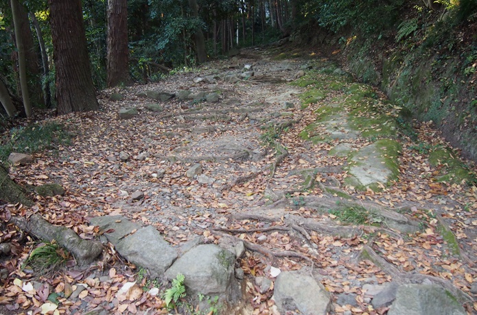 鹽竈神社　神聖な参道