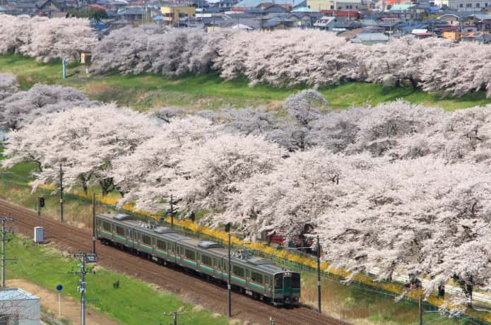 千桜橋の下を走るJR東北本線JR東北本線