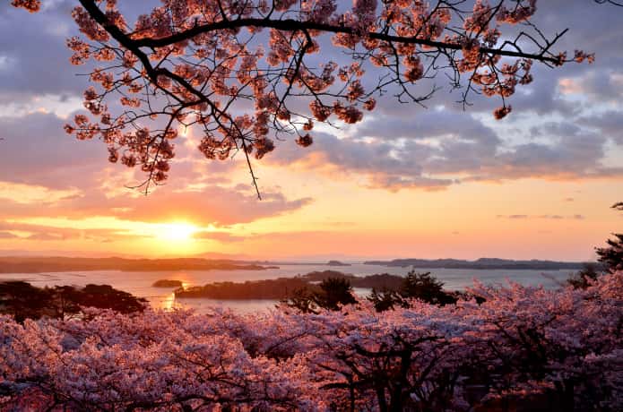 夕日に照らされる松島湾