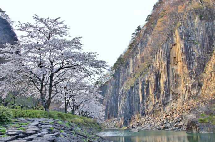 材木岩公園と桜