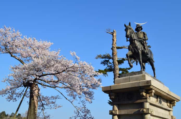 仙台城跡の桜