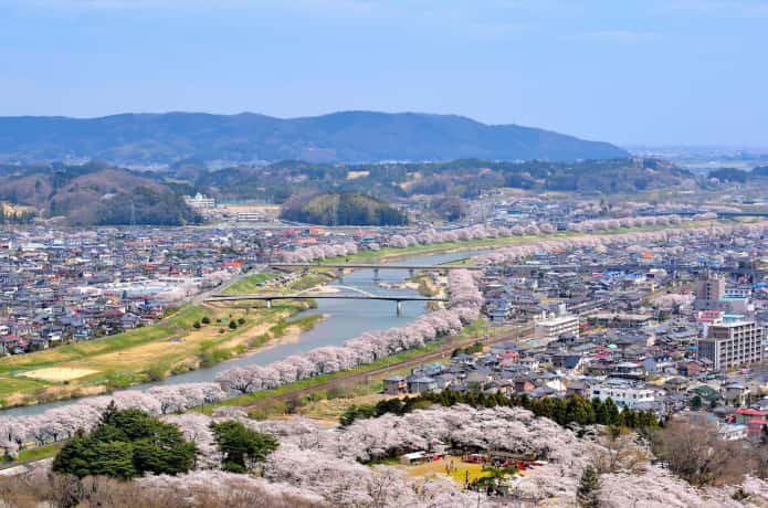 船岡城址公園の山頂から見た一目千本桜