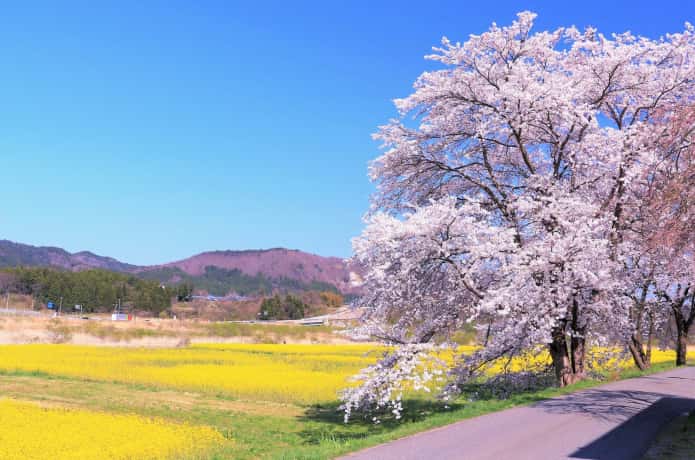 鳴子・川渡温泉