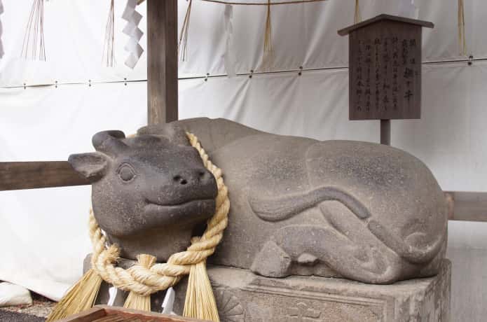 鹽竈神社　撫で牛