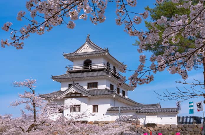 白石城と桜