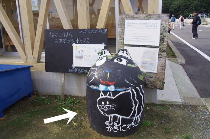 田代島　猫ごはんお預かりbox
