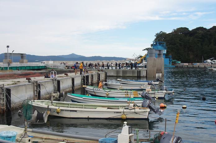 田代島の仁戸田港