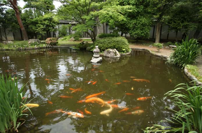 石巻　斎藤氏庭園