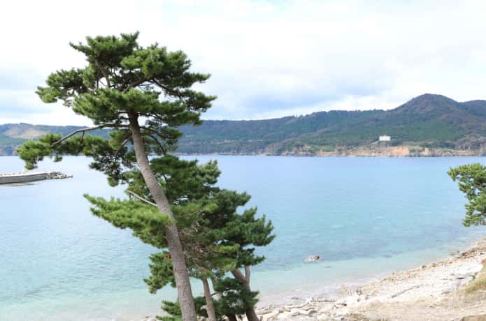 金華山　海