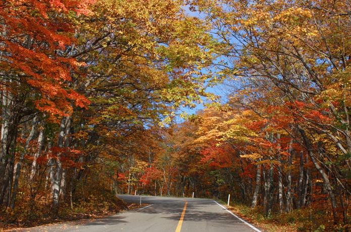 蔵王エコーライン　紅葉