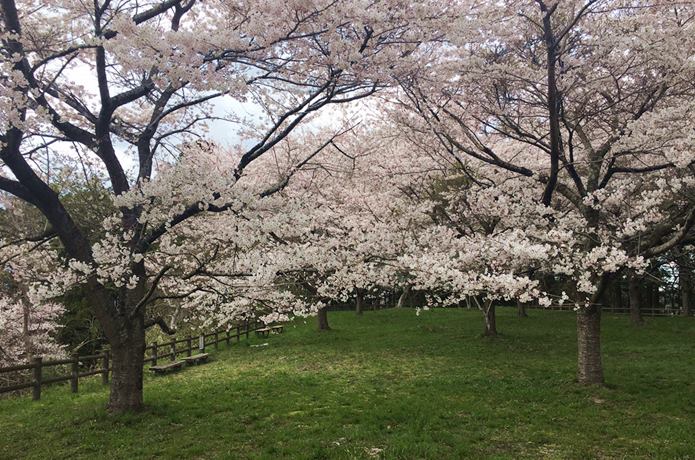 松森城　公園