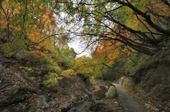 鬼首温泉　地獄谷遊歩道