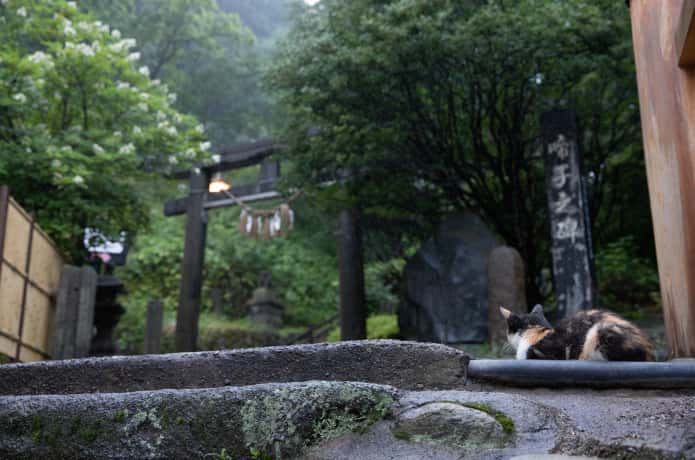 鳴子温泉神社