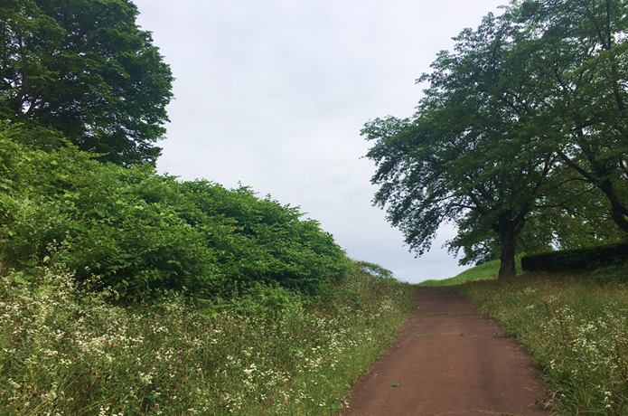 雷神山古墳の散策路
