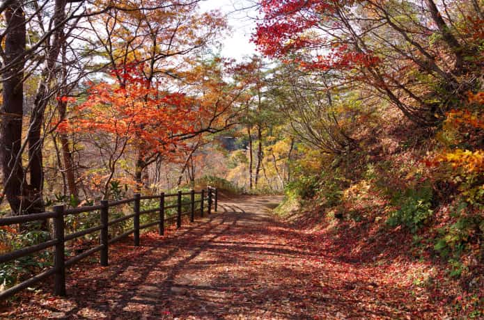 鳴子峡　大深沢橋　遊歩道