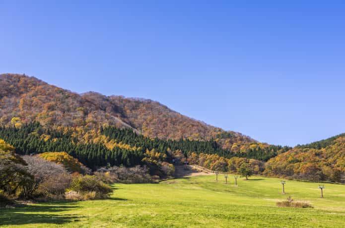 やくらいガーデンスキー場