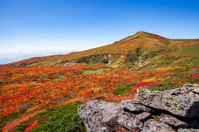 秋の栗駒山