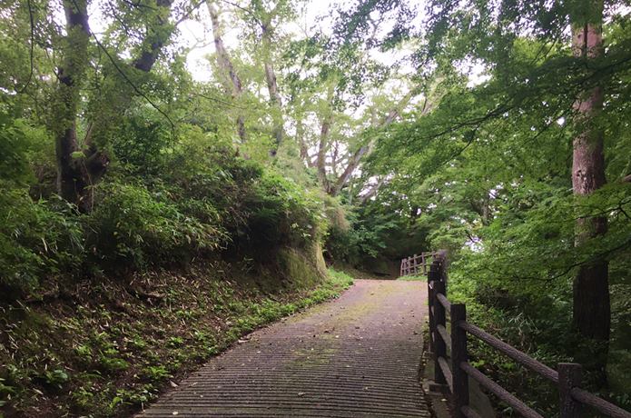 岩切城　森の中
