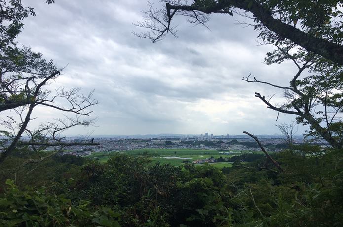 岩切城からみる景色