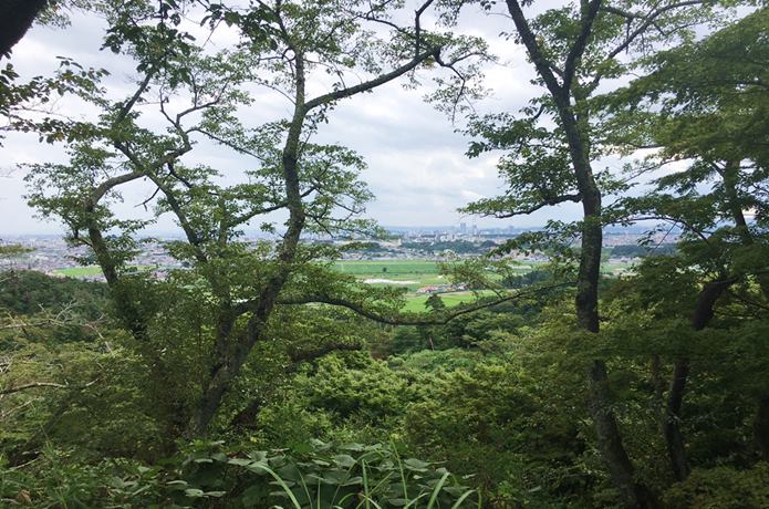 岩切城　