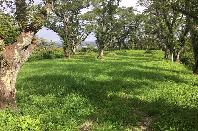 岩切城