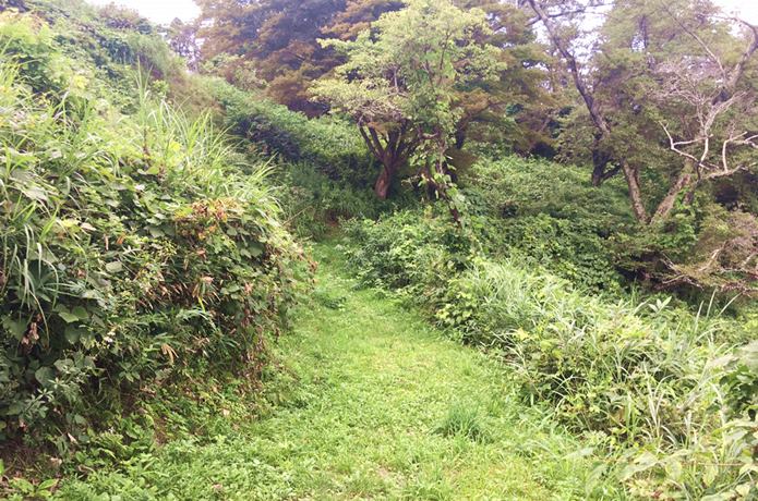岩切城　森